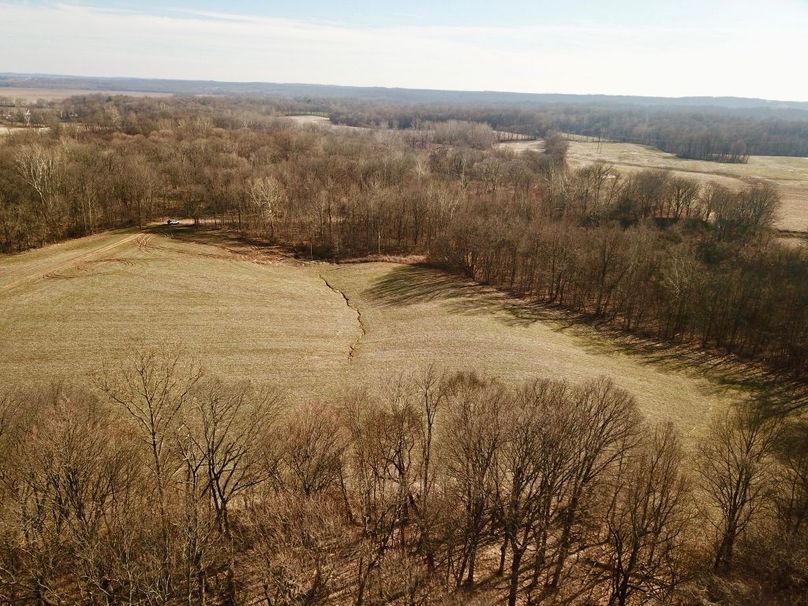 Vlngq85xtka1b0gf5cdz4q thumb 5ca5