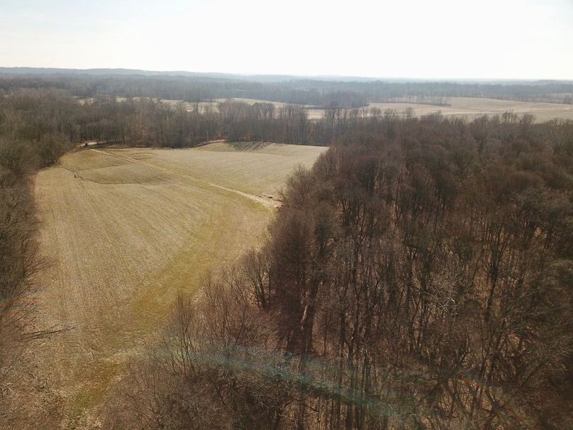 Z9s5hjdcreacljmvjfrgg thumb 5cb5