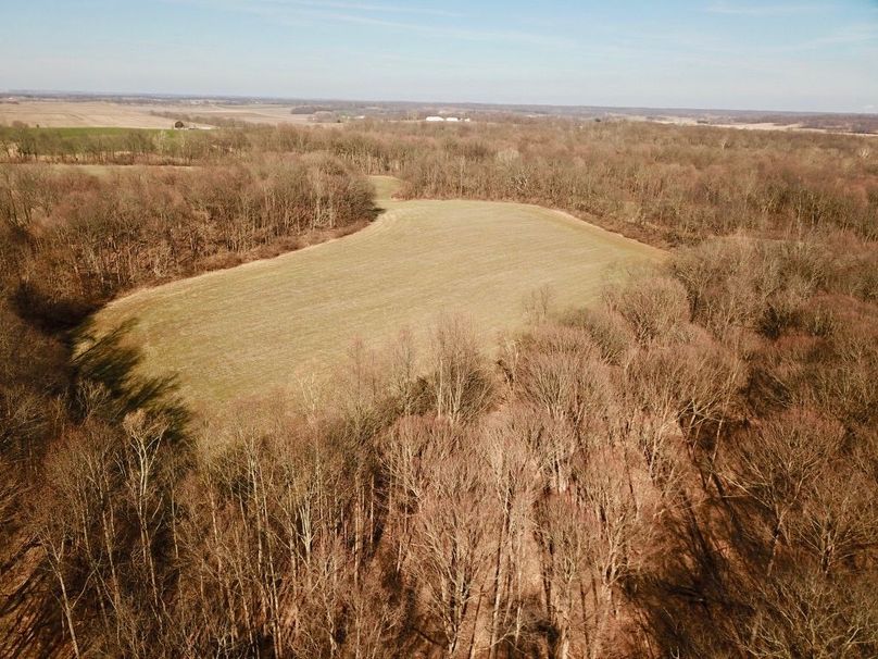 Zrzvedjqq2ckx0ilmrvxqa thumb 5ca4