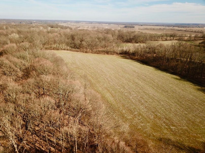 7wfysfyhrvydcyl3qvrmhg thumb 5cab