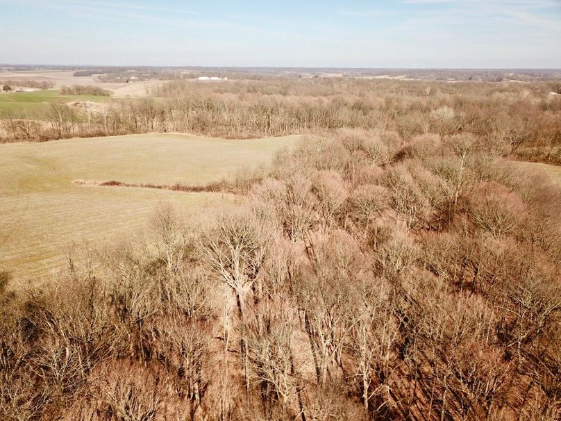 7iadpoxqqpmlhr0ai9zma thumb 5ca9