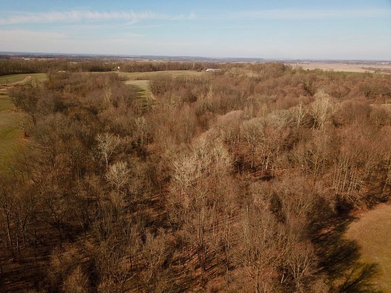 8d6 kdhkresrn4jiz3hkhg thumb 5ca2