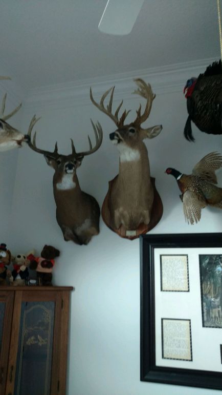 Img 20180122 154329716-1