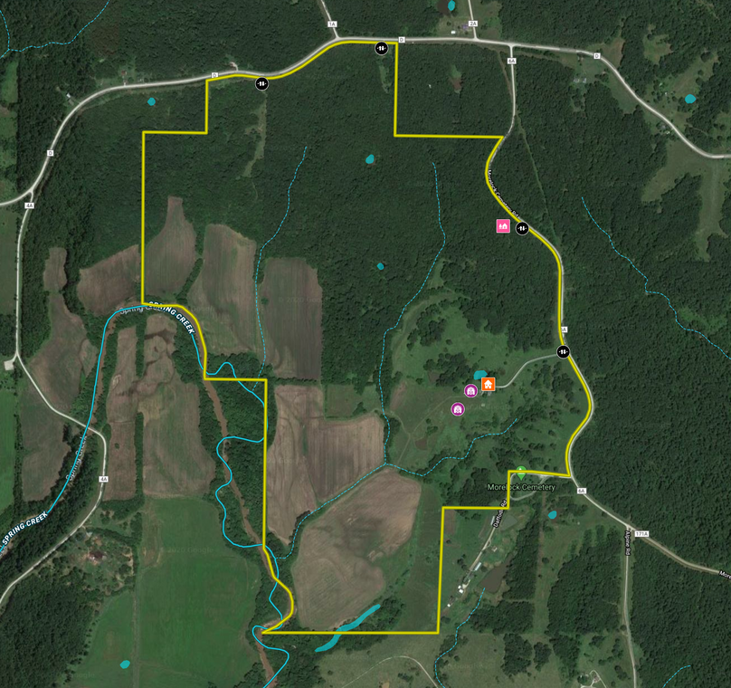 Screen shot 2020-02-27 at 12.03.57 pm