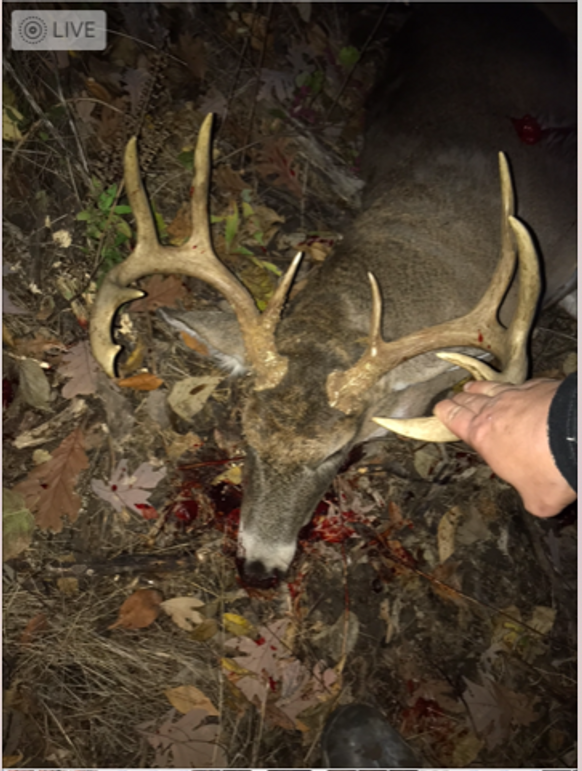 Screen shot 2020-02-24 at 3.39.58 pm