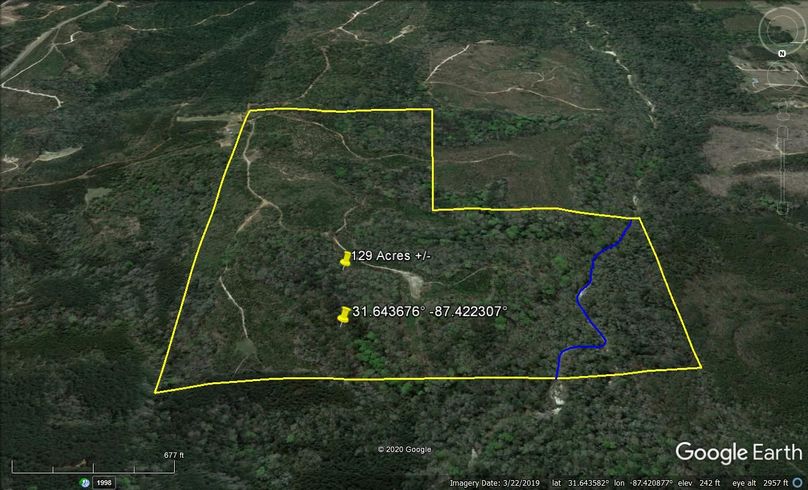 Aerial 4 approx. 129 acres monroe county, al