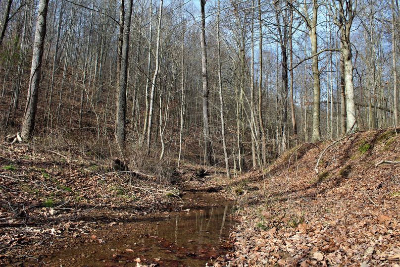 045 gorgeous early spring sream