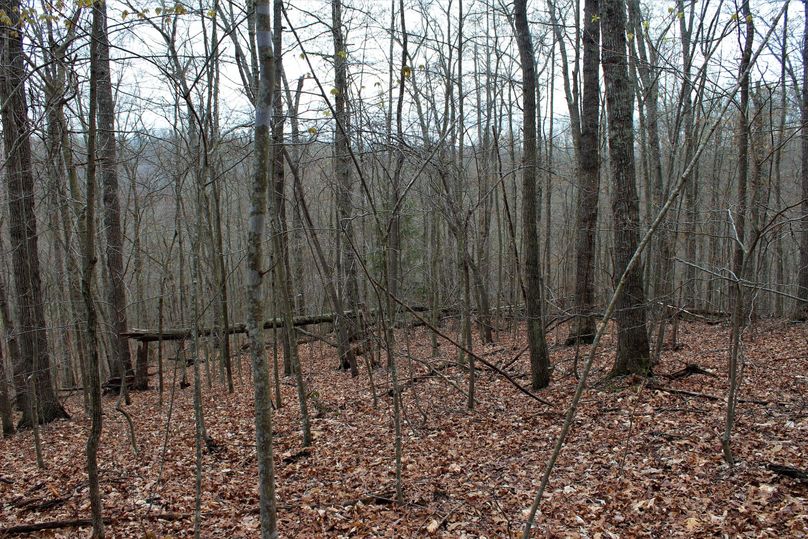 048 cool evening on the northeast ridge top looking towards the cabin