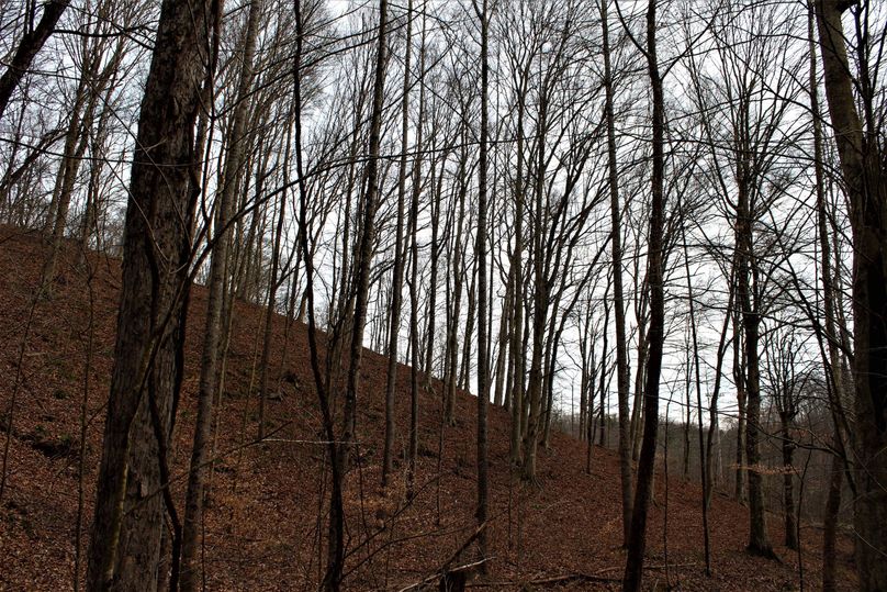 051 stunning sunset looking over the south east ridge top