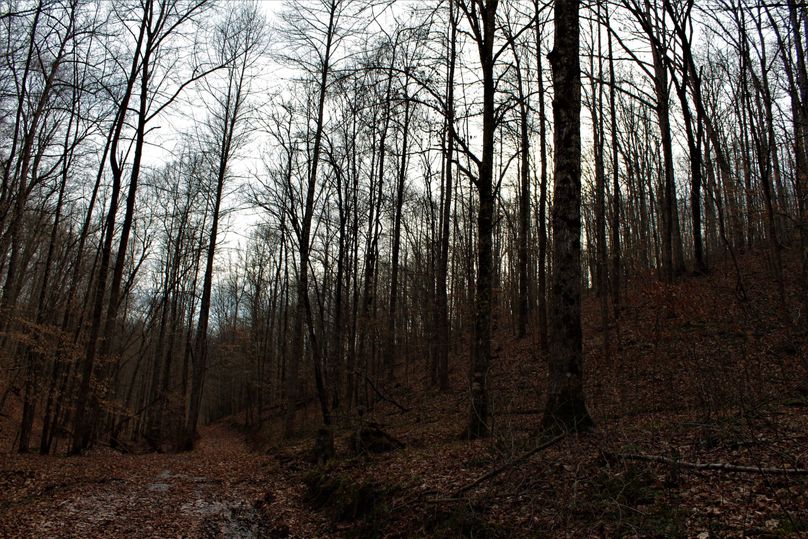 055 beautiful sunset heading from cabin towards exit