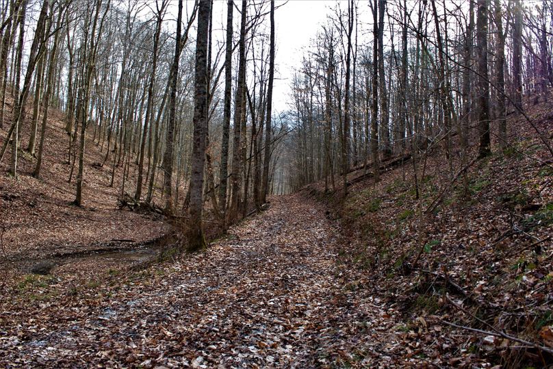 013 looking down roadway towards ky hwy 1094