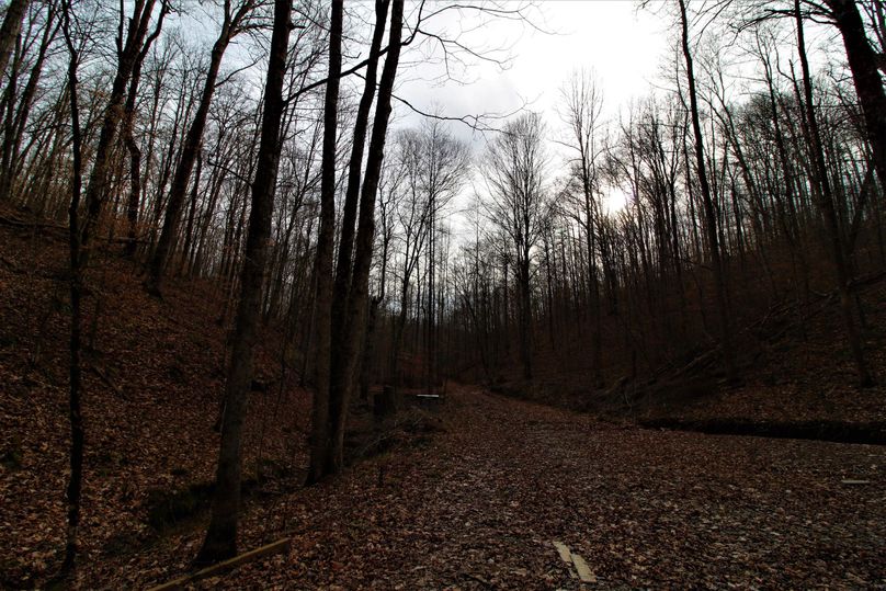 018 amazing view from the front of the cabin moments before sunset