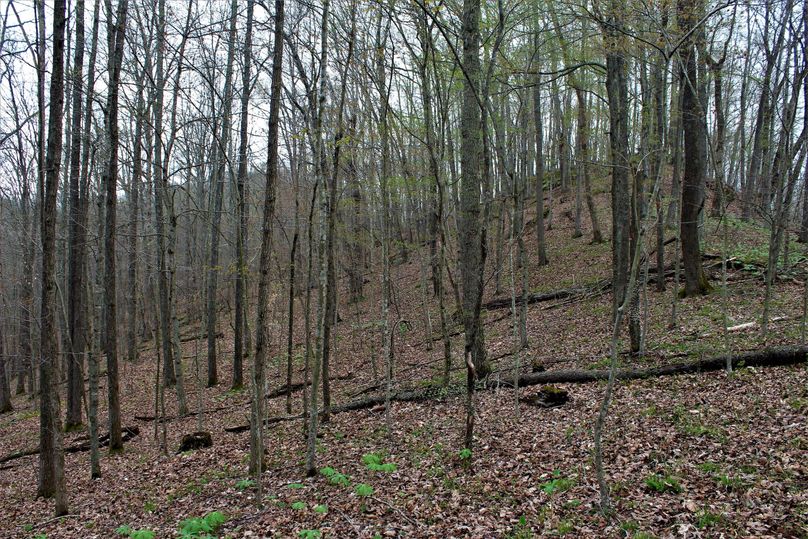 024 awesome view along the northern ridgetop