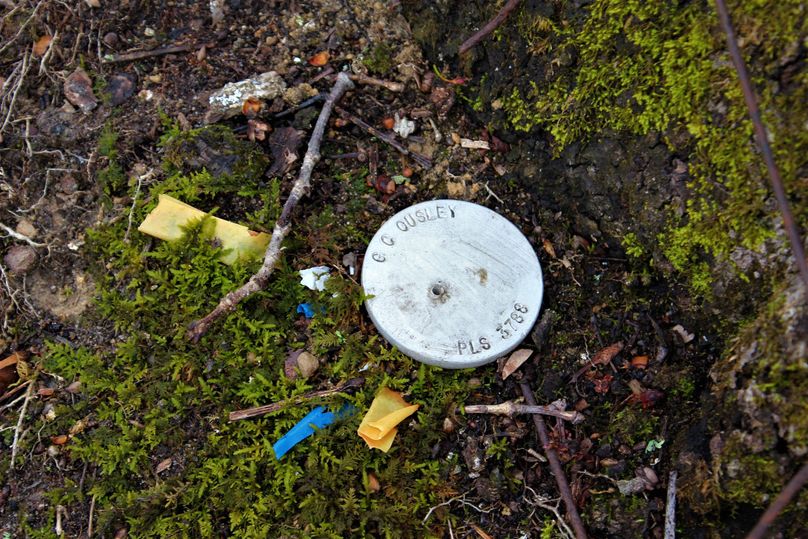 028 survey pin from neighboring property