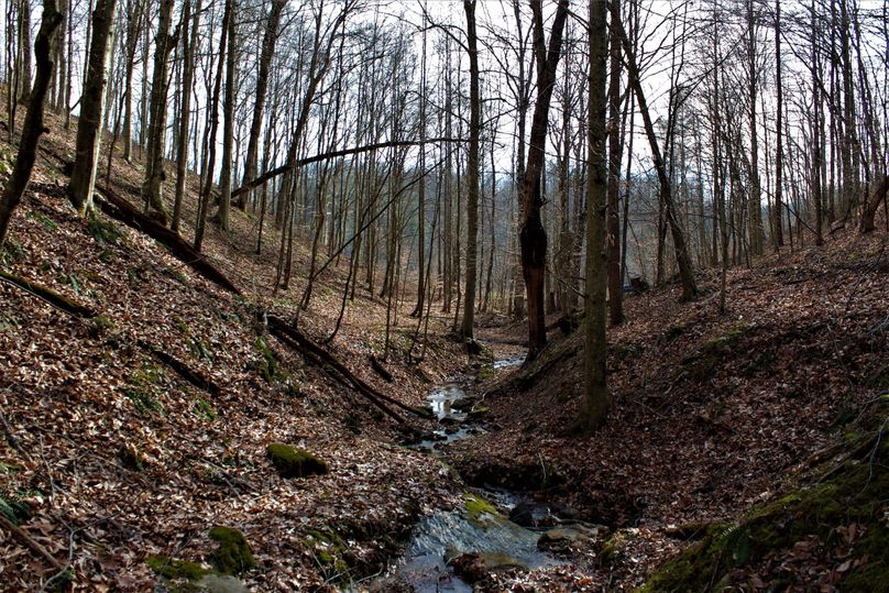 030 stunning stream shot looking towards the big valley along the roadway