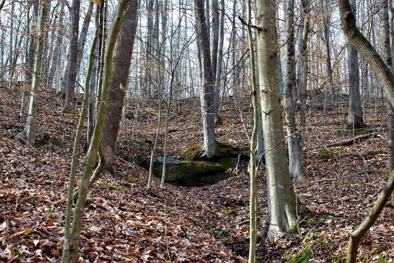 031 sweet little rock feature on a beautiful early spring afternoon