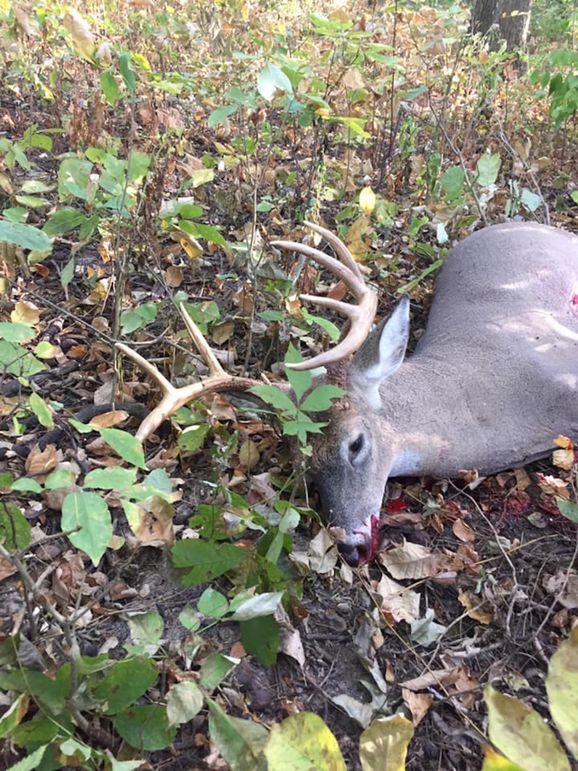034 incredible 9 point taken off the property