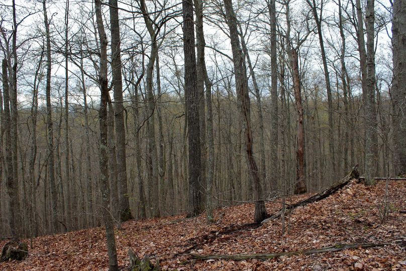 038 awesome view looking down towards the valley from the east ridgetop