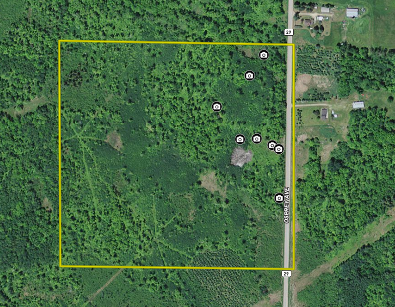 Screen shot 2020-03-06 at 3.08.50 pm