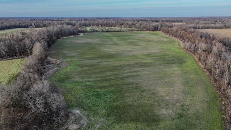 Phillips 8.5 Trahan -11