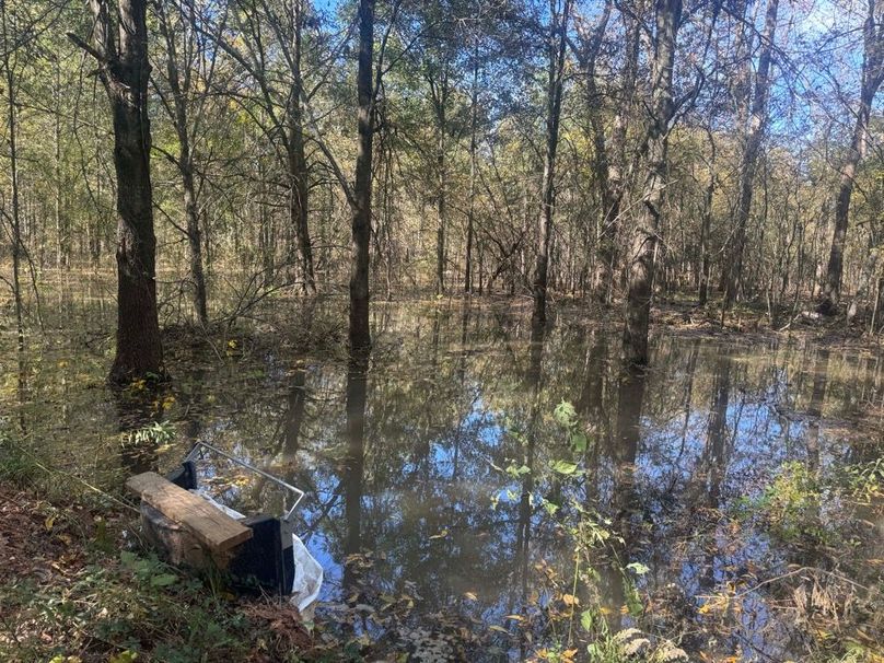 1a1 jeff 8320251111_0241