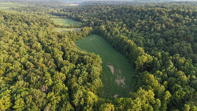 DJI_20250730190059_0082_D