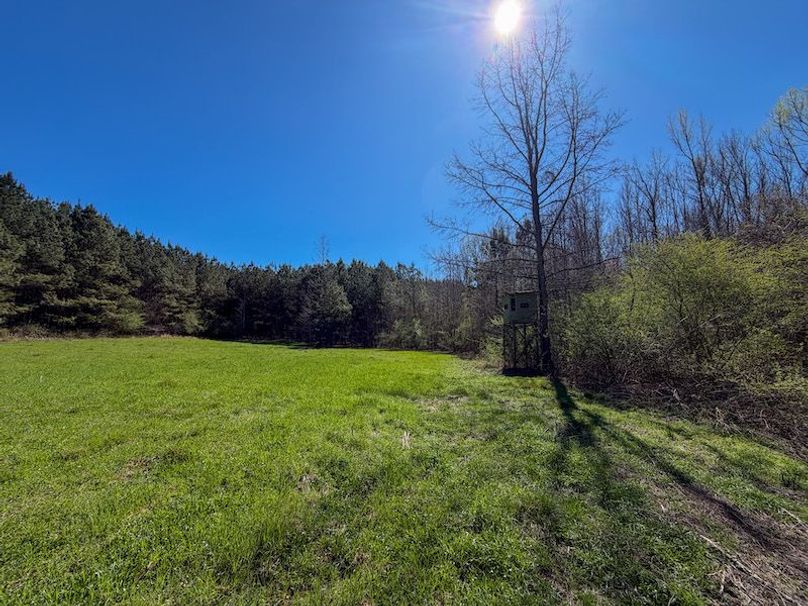 010AE 257 Acres - 1-3