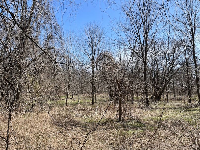 Ontario_96.7_Kiikka Photo 47