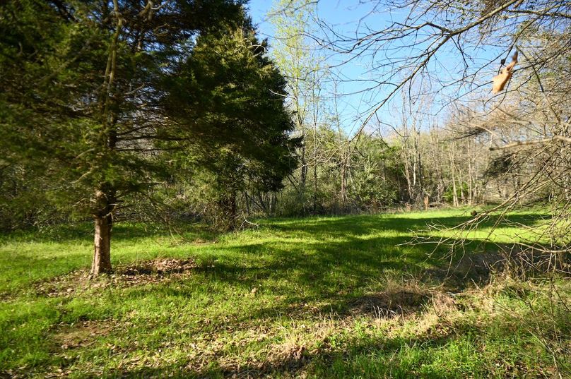 vandalia 450 (2)-2460