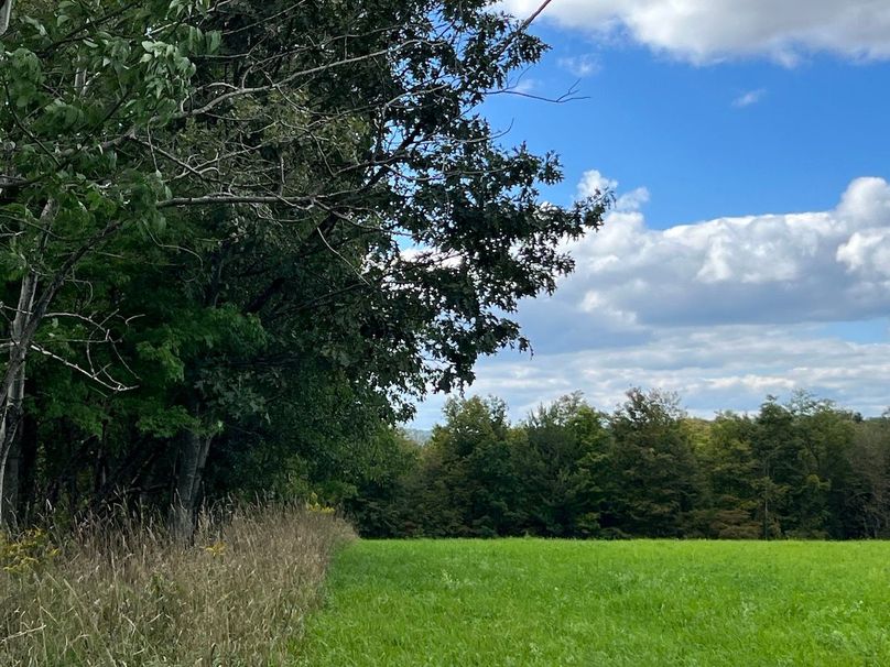 Schuyler_42.08_Austin Photo 8