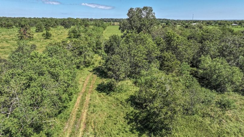 Copy of DJI_20240909115519_0007_D