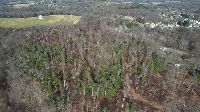 dji_fly_20251124_130924_27_1764007916884_photo