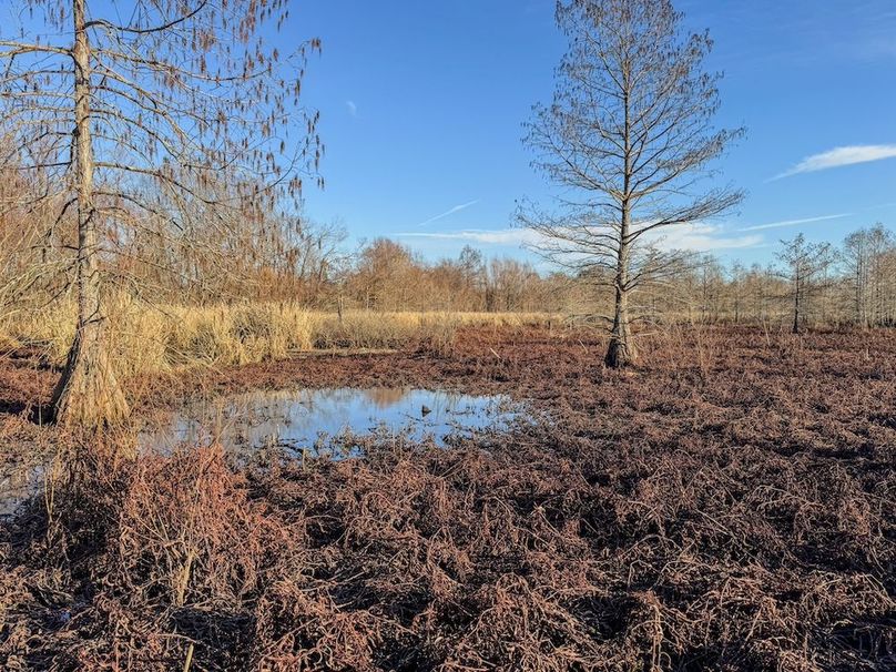 St. Francis 138.5 Calvin Parker Farms Profile -26