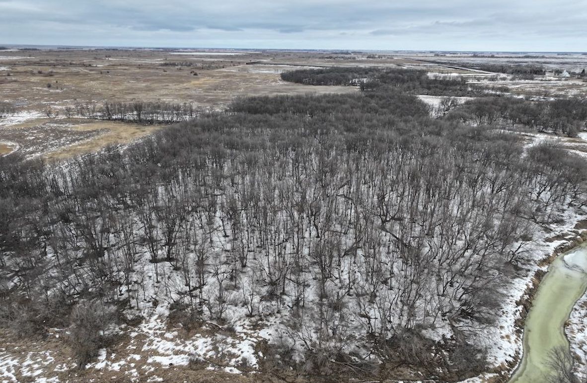 DJI_20260202161149_0044_D