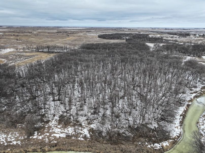 DJI_20260202161149_0044_D