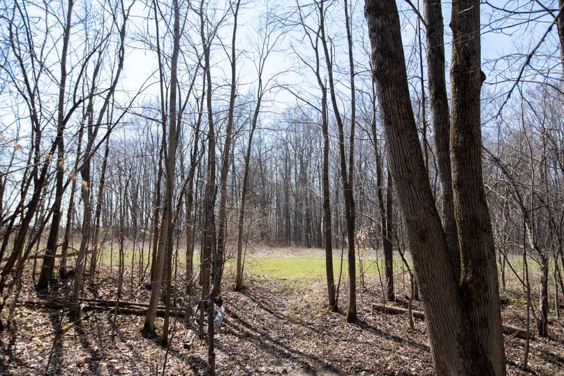 31 open area on south end would make for a great food plot-2