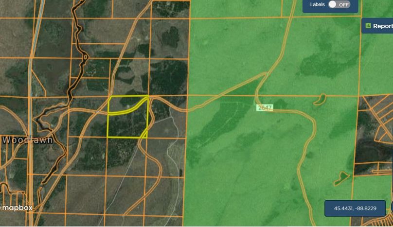 Florence38kamyszek mid aerial