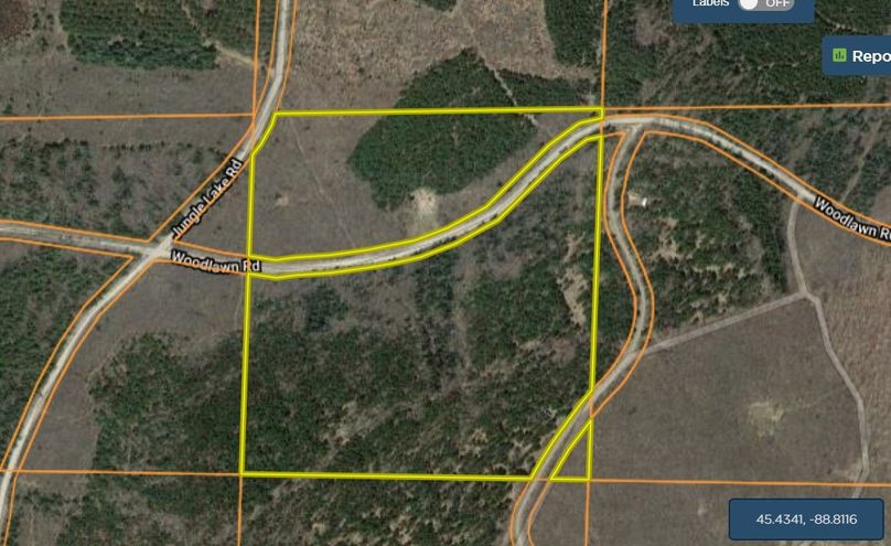 Forest38kamyzszek closeaerial