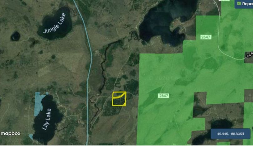 Forest38kamyzszek faraerial