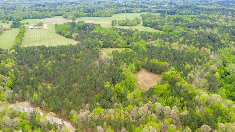 Drone - wake co. nc 16.83(4)