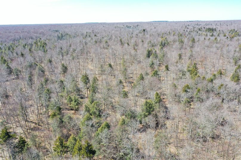 VDNOM1pXZHZJREV3TXk0eU9DQmhZbUZ5WlNBeQ==