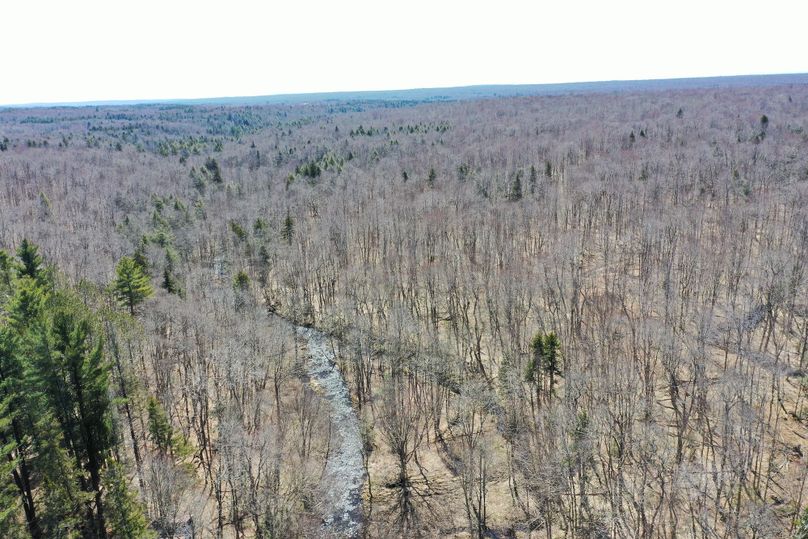 VDNOM1pXZHZJREV3TXk0eU9DQmhZbUZ5WlNBMA==