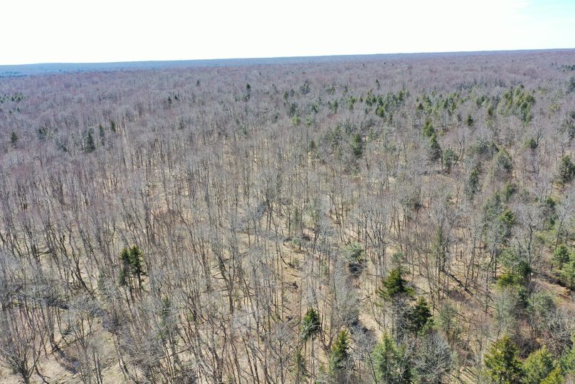 VDNOM1pXZHZJREV3TXk0eU9DQmhZbUZ5WlNBNA==