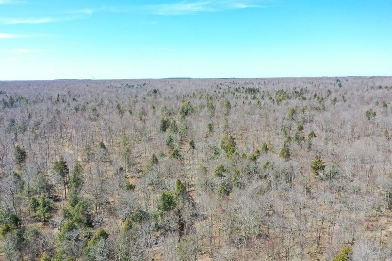 VDNOM1pXZHZJREV3TXk0eU9DQmhZbUZ5WlNBNQ==