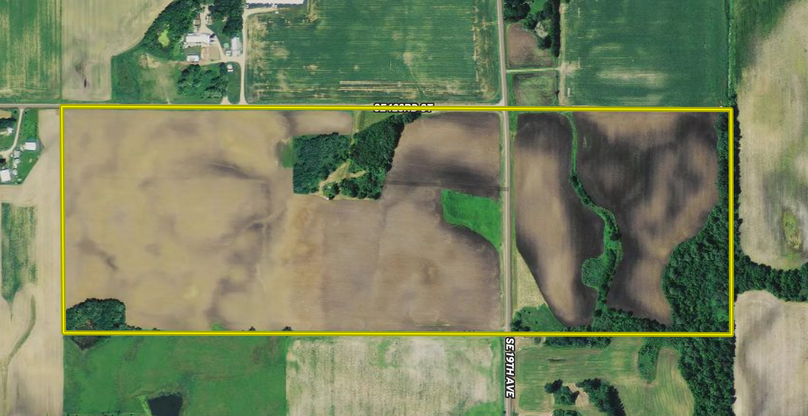 Screen shot 2020-04-20 at 10.44.50 pm