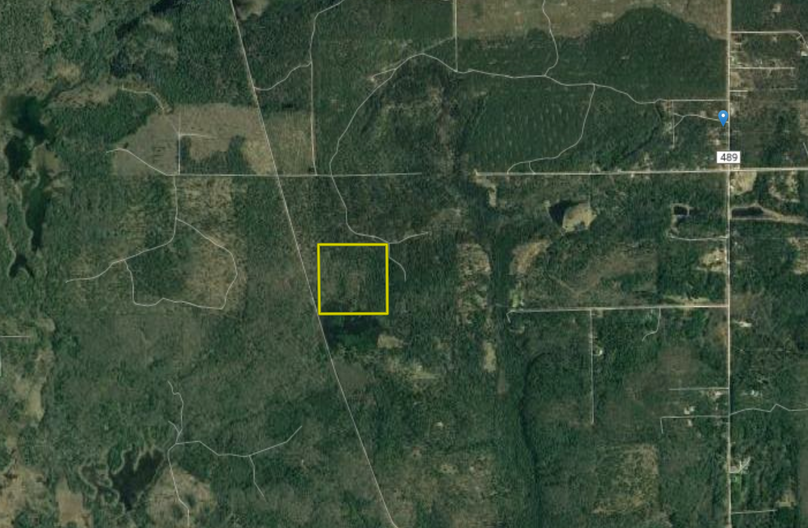 Screen shot 2020-04-30 at 10.56.26 am