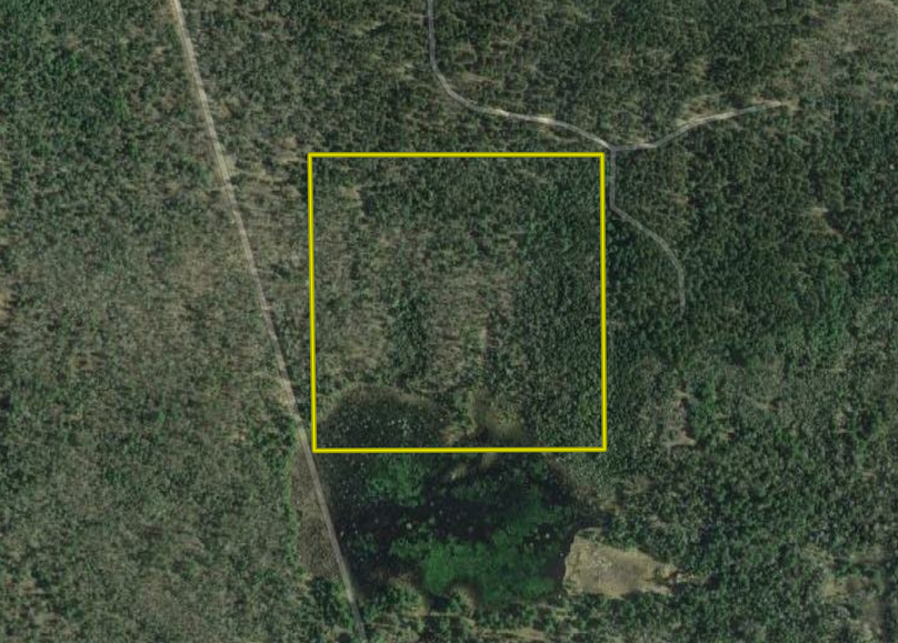 Screen shot 2020-04-30 at 10.56.39 am