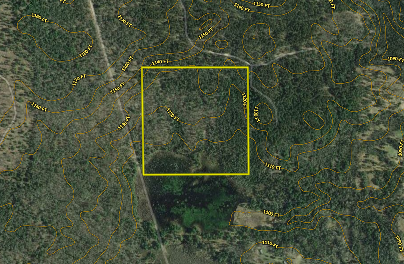 Screen shot 2020-04-30 at 10.56.51 am