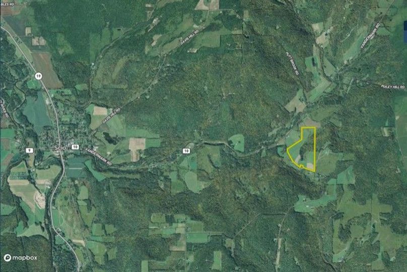 Cook 88 allegany far