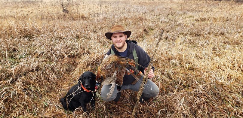 2466613607763480861-2